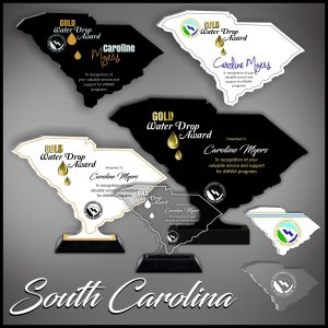 South Carolina Acrylic State Shaped Award